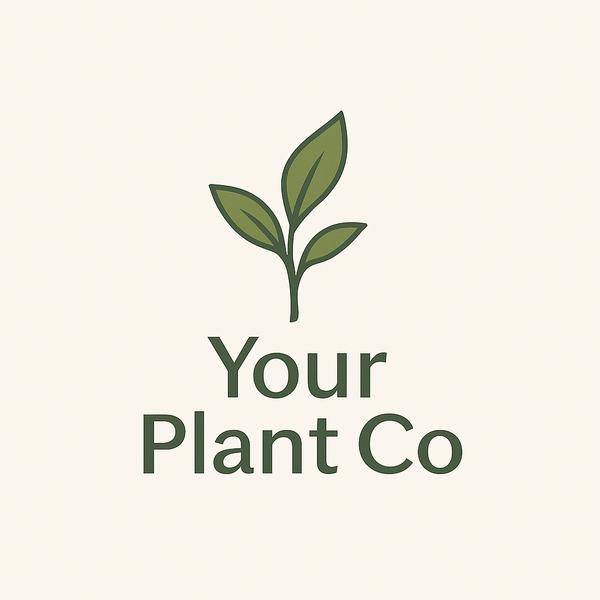 Your Plant Co